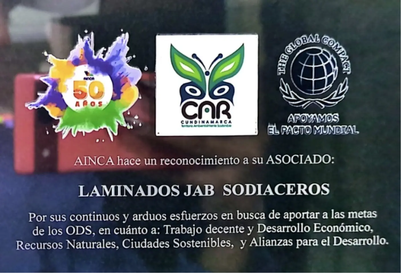 Reconocimiento AINCA